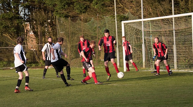 这在某种程 这在某种程