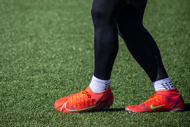 已经积累了 已经积累了