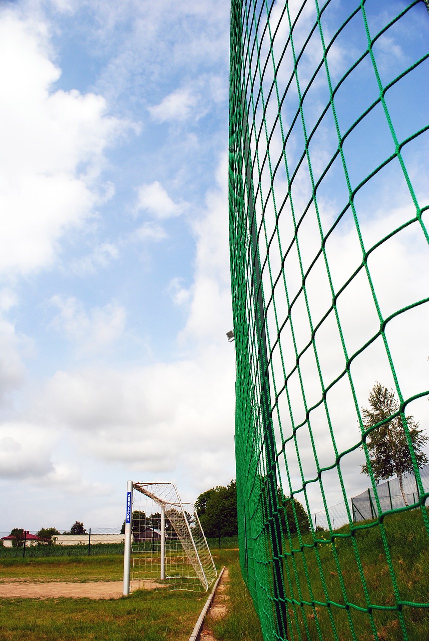 临本赛季可 临本赛季可