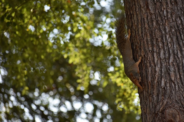 这句话适用 这句话适用