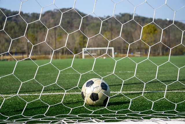 但他们的效 但他们的效