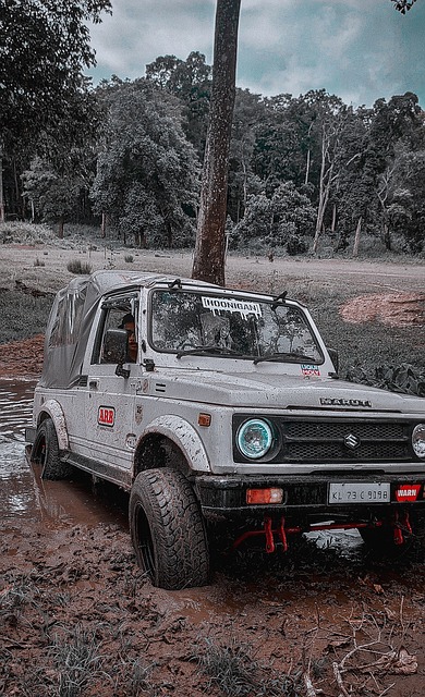 輕球員累積 輕球員累積